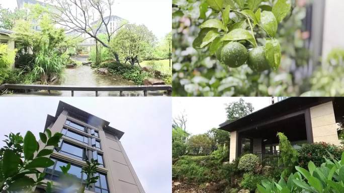 安吉天使小镇陌上花开 秋雨 空镜头