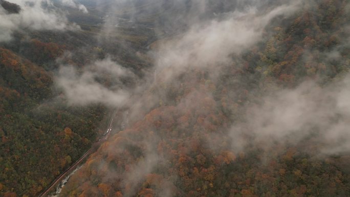 四川光雾山秋季红叶云海航拍开场