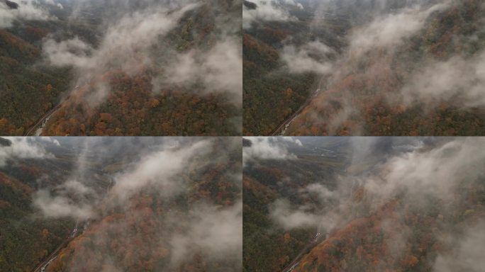 四川光雾山秋季红叶云海航拍开场