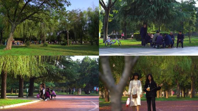 公园人民悠闲幸福生活散步下棋逛公园