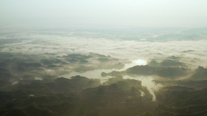 绿色茶山清晨云雾