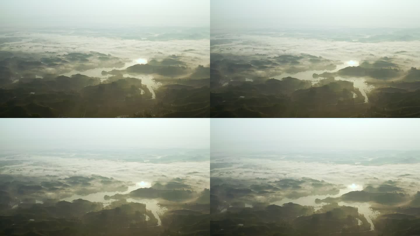 绿色茶山清晨云雾