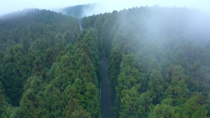 航拍仙女山森林公路