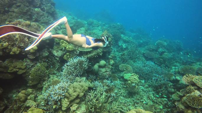 女子在珊瑚礁周围自由潜水