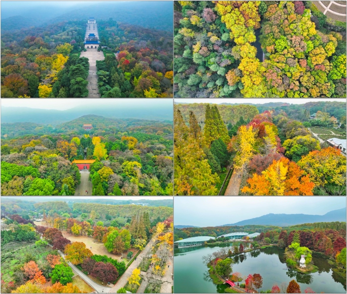 【12分钟】中山陵-明孝陵-植物园秋景