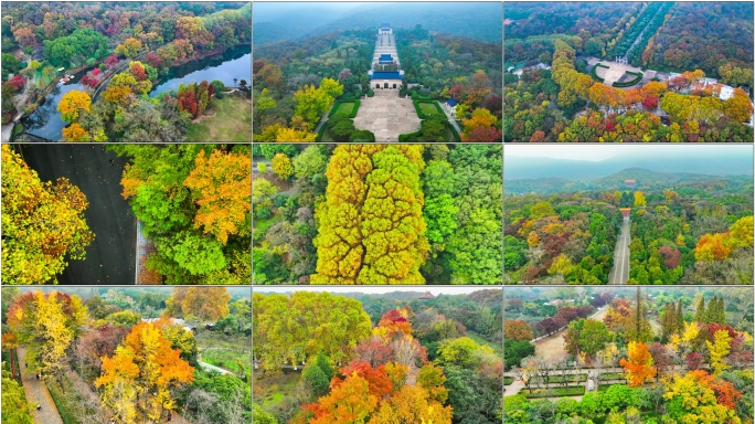 【12分钟】中山陵-明孝陵-植物园秋景