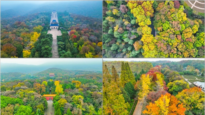 【5分钟】中山陵秋景