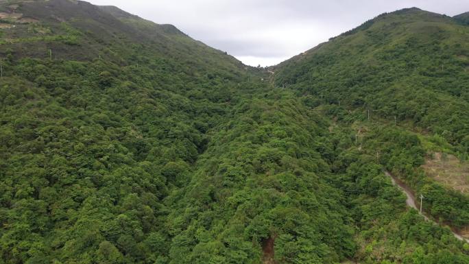 航拍 自然 山川 天空 白云 森林 树林