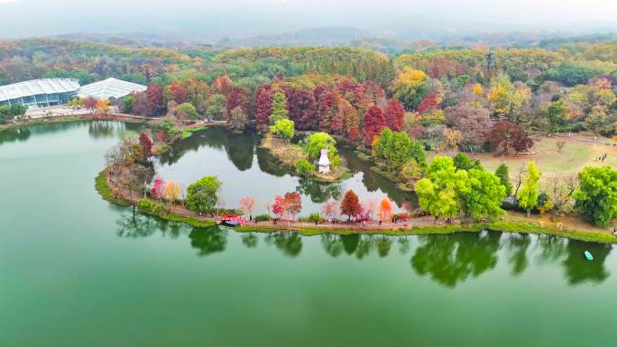 中山植物园前湖秋景