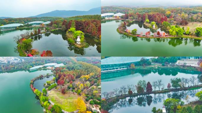 中山植物园前湖秋景