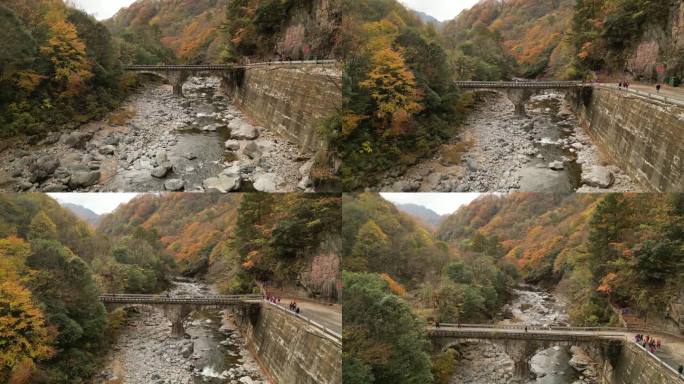 四川光雾山秋季红叶彩林航拍开场镜头河谷