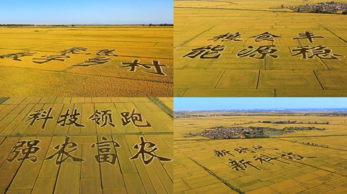 中国农业稻田画