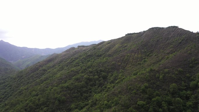 航拍 自然 山川 天空 白云 森林 树林