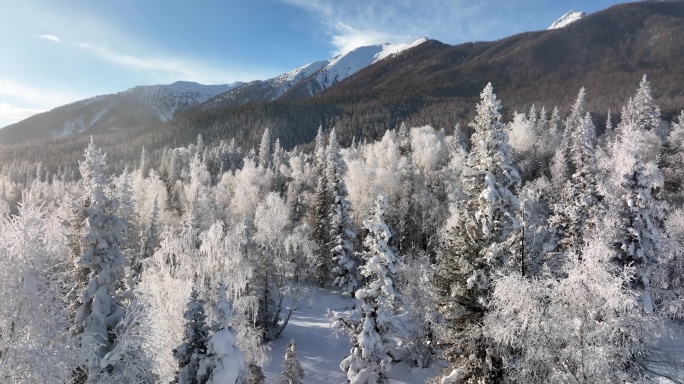 新疆旅游地-喀纳斯、禾木（北疆冬季雪景）