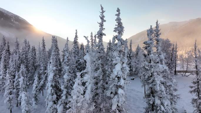 新疆旅游地-喀纳斯、禾木（北疆冬季雪景）
