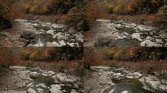四川光雾山秋季红叶河谷流溪向前运镜航拍