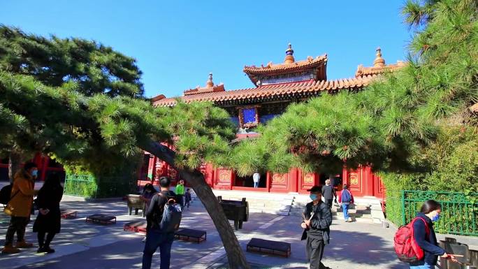 北京雍和宫法轮殿