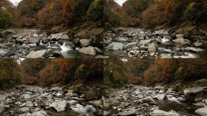 四川光雾山秋季红叶河谷溪流低空航拍