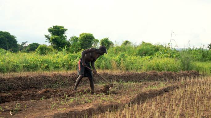 马拉维非洲农村农民肖像