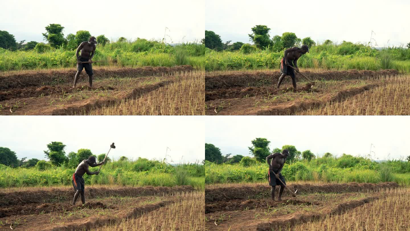 马拉维非洲农村农民肖像