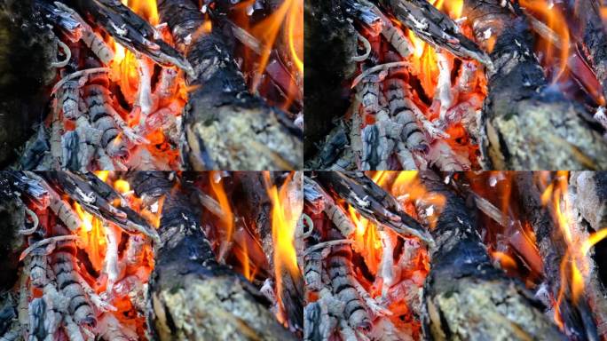 河边的烧烤和篝火。