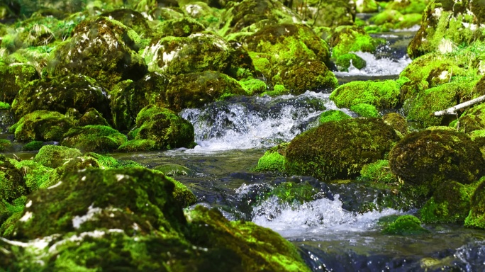 SUPER SLO MO溪流流过覆盖着苔藓的岩石