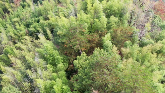 茶辽古道风景航拍