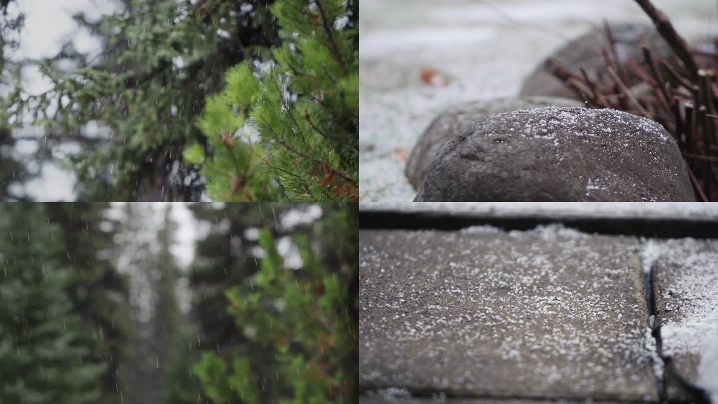 下雪 降雪 雪花