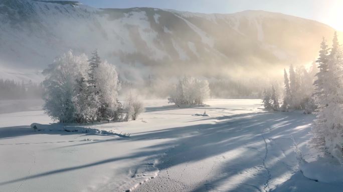 新疆旅游地-喀纳斯、禾木（北疆冬季雪景）