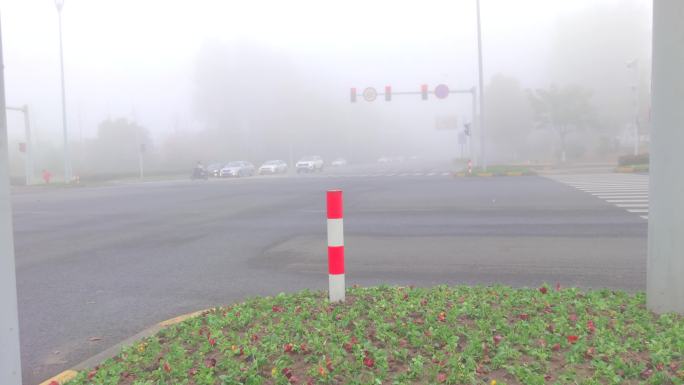 大雾细雨中的路口红绿灯