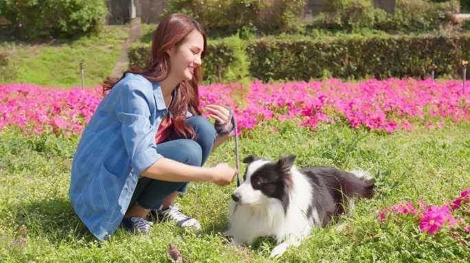 女子在公园训练狗幸福生活遛狗