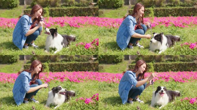 女子在公园训练狗幸福生活遛狗