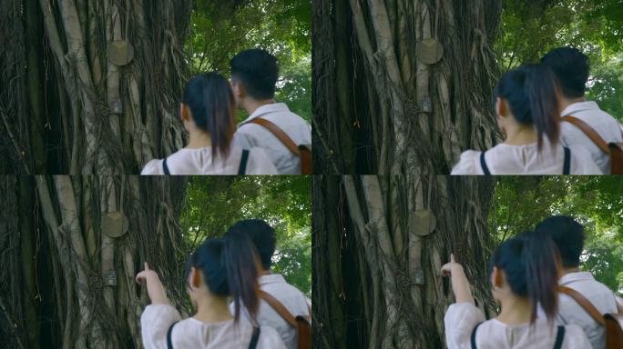 情侣旅行 看榕树