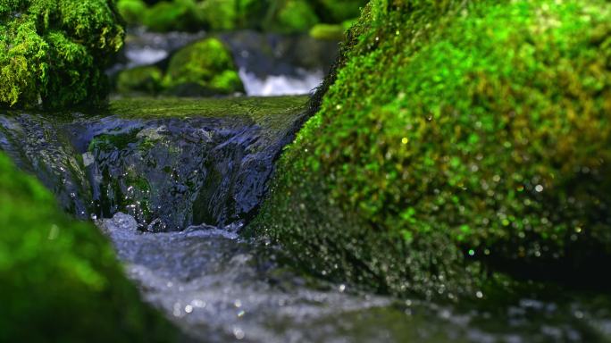 TIME WARP SLO MO溪流过覆盖着苔藓的岩石