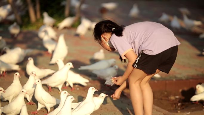 紫荆山公园大人和小孩一起喂鸽子欢亲子时光