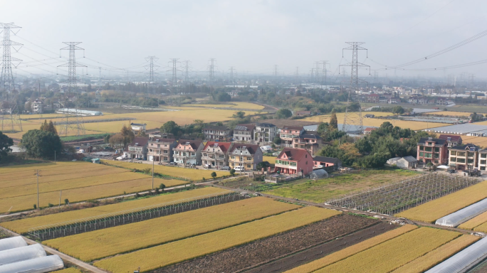 乡村 稻田 水系 乡村小屋 诗意生活