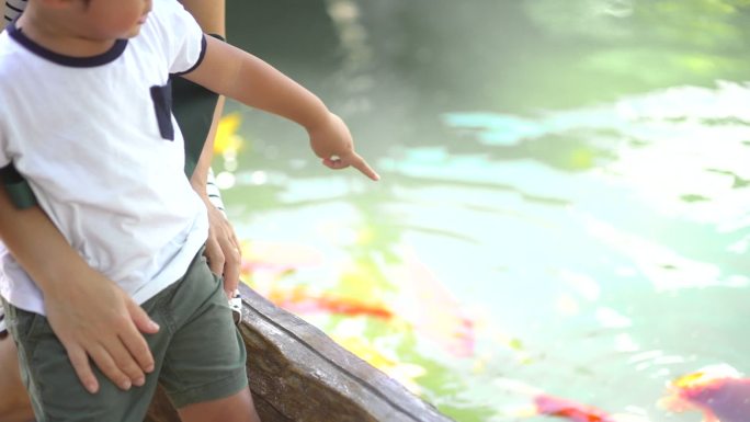 母亲和儿子在池塘里看锦鲤鱼的慢动作