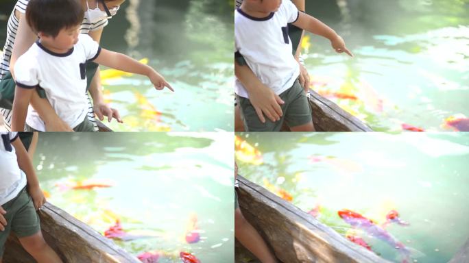 母亲和儿子在池塘里看锦鲤鱼的慢动作