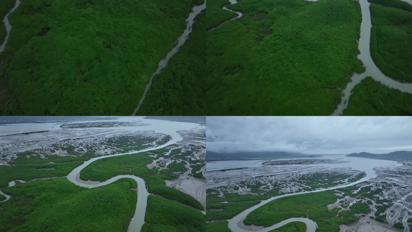 漳州云霄漳江口湿地航拍