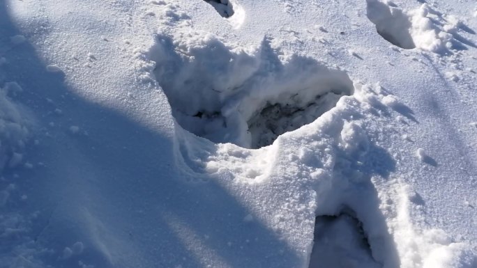 雪地越野车陷雪里了