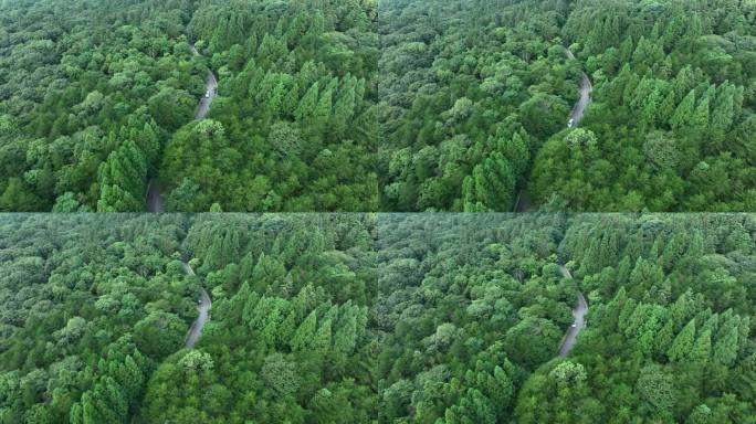 航拍汽车行驶在空旷的乡村公路上4K