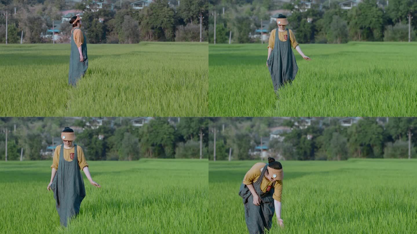 乡村稻田视频夏季青绿色稻谷里散步的女子