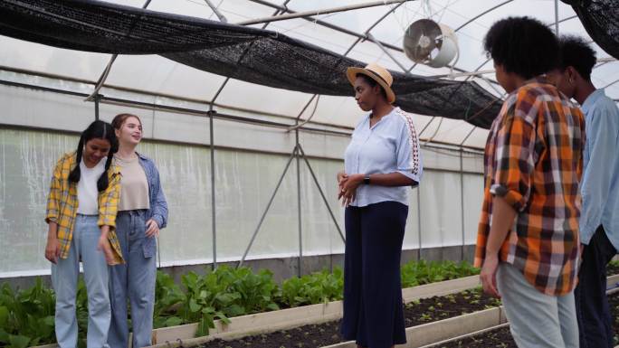 不同的学生群体，包括男孩和女孩，在温室农场与老师一起学习种菜