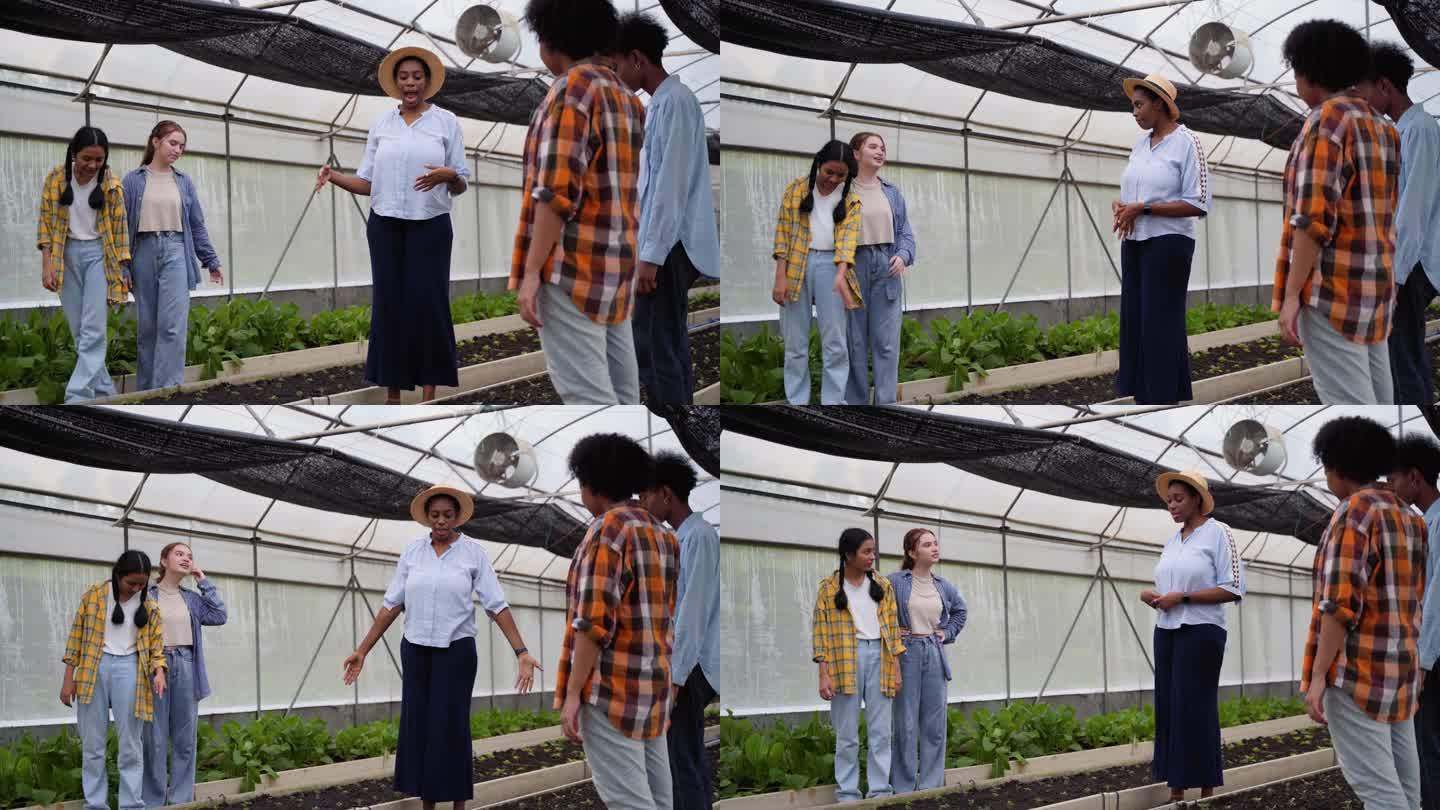 不同的学生群体，包括男孩和女孩，在温室农场与老师一起学习种菜
