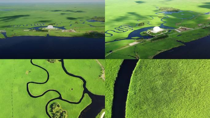 扎龙国际自然保护区丹顶鹤湿地航拍