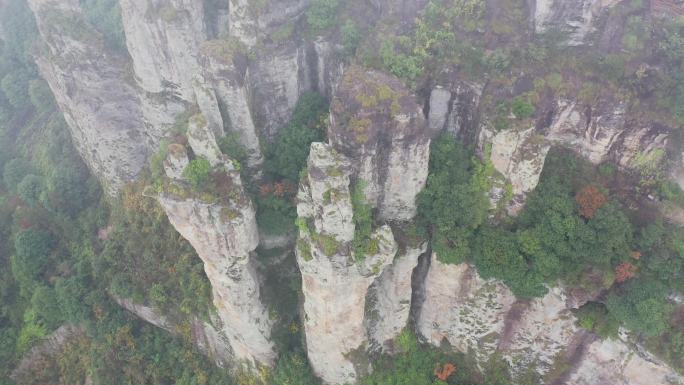 天台紫疑山