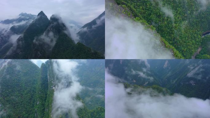 航拍云雾森林云雾缭绕森林大自然