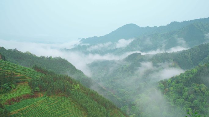 青山雾气缭绕