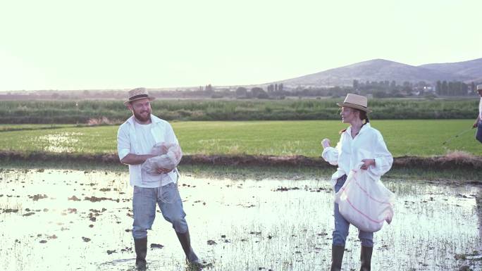 男农民向女友展示如何在稻田里播种水稻