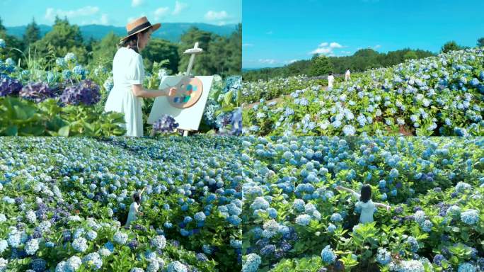 公园绣球花绘画